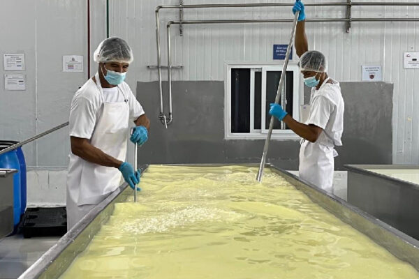 Nicaragua Produce 77.7 Millones de Libras de Queso y Cuajada