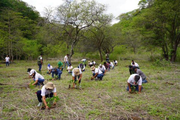 Cerro Negro y Laguna de Nejapa fortalecen su protección ambiental con reforestación