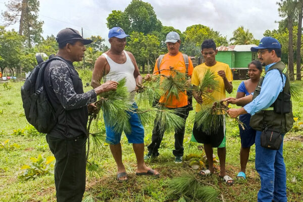 Capacitación técnica impulsa conservación y restauración de los bosques en Waspán