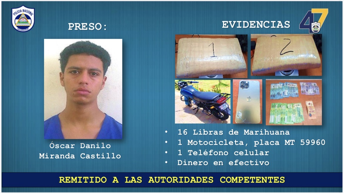 Policía asesta nuevo golpe al crimen organizado con incautación de marihuana en Estelí