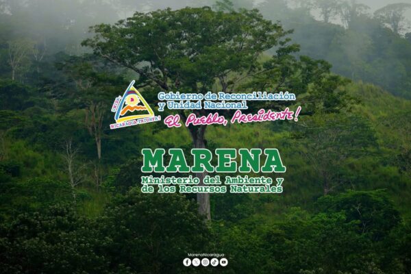 Nicaragua destaca avances en materia ambiental, cambio climático y biodiversidad