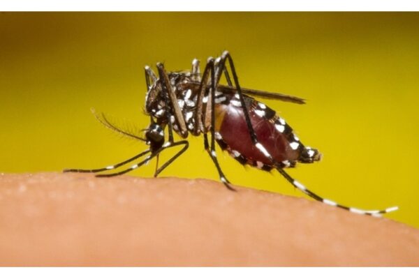 Menos enfermos por Dengue, Chikungunya, Neumonía, Influenza y Malaria.