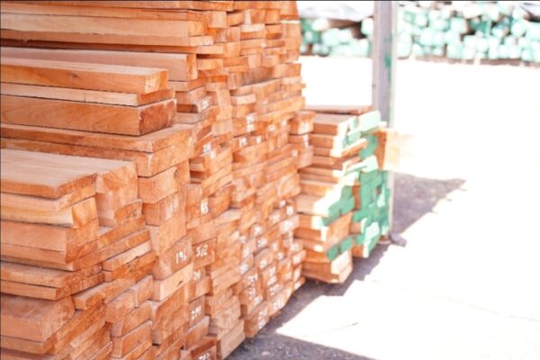 Marena, Exportaciones de Madera