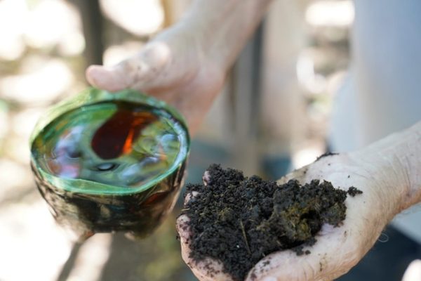 Reserva silvestre privada protege los Recursos Naturales