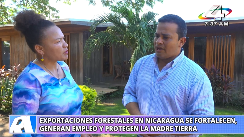 Exportaciones forestales de Nicaragua generan empleo, inversión y 2.7 millones de dólares en 2026